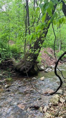 1100 E Robertson Street, Ozark, MO 65721