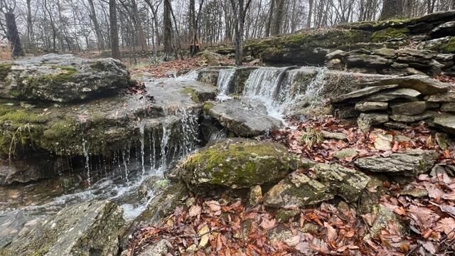 1100 E Robertson Street, Ozark, MO 65721