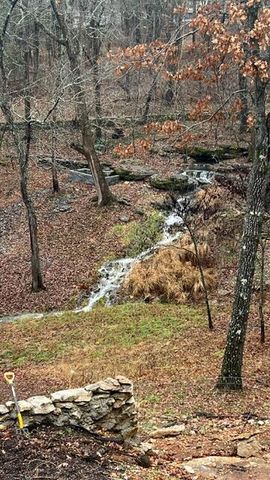 1100 E Robertson Street, Ozark, MO 65721