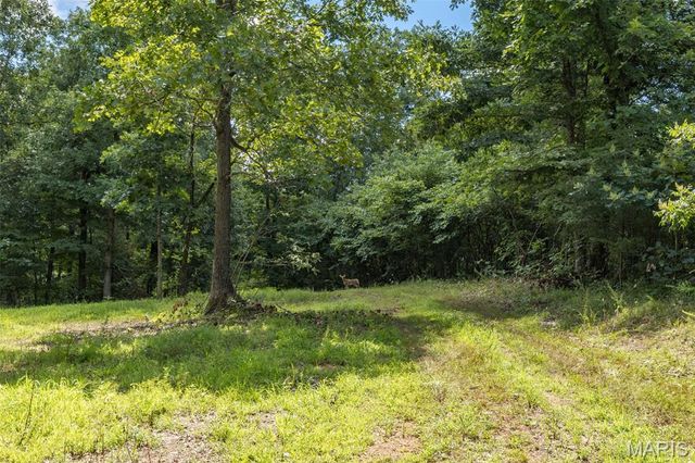 0 Cedar Hollow Road, Fletcher, MO 63030