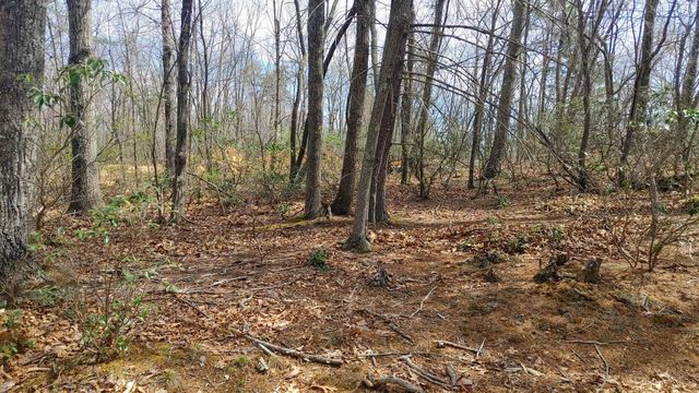 0 Timber Trail LN, Hardy, VA 24101