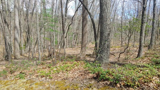 0 Timber Trail LN, Hardy, VA 24101