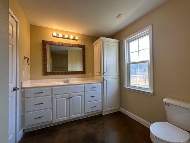 1111 Silver Leaf Drive, Alexander, AR 72002