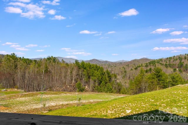 4530 Double Island Road, Green Mountain, NC 28740