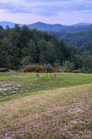4530 Double Island Road, Green Mountain, NC 28740