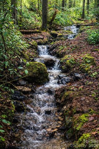 4530 Double Island Road, Green Mountain, NC 28740
