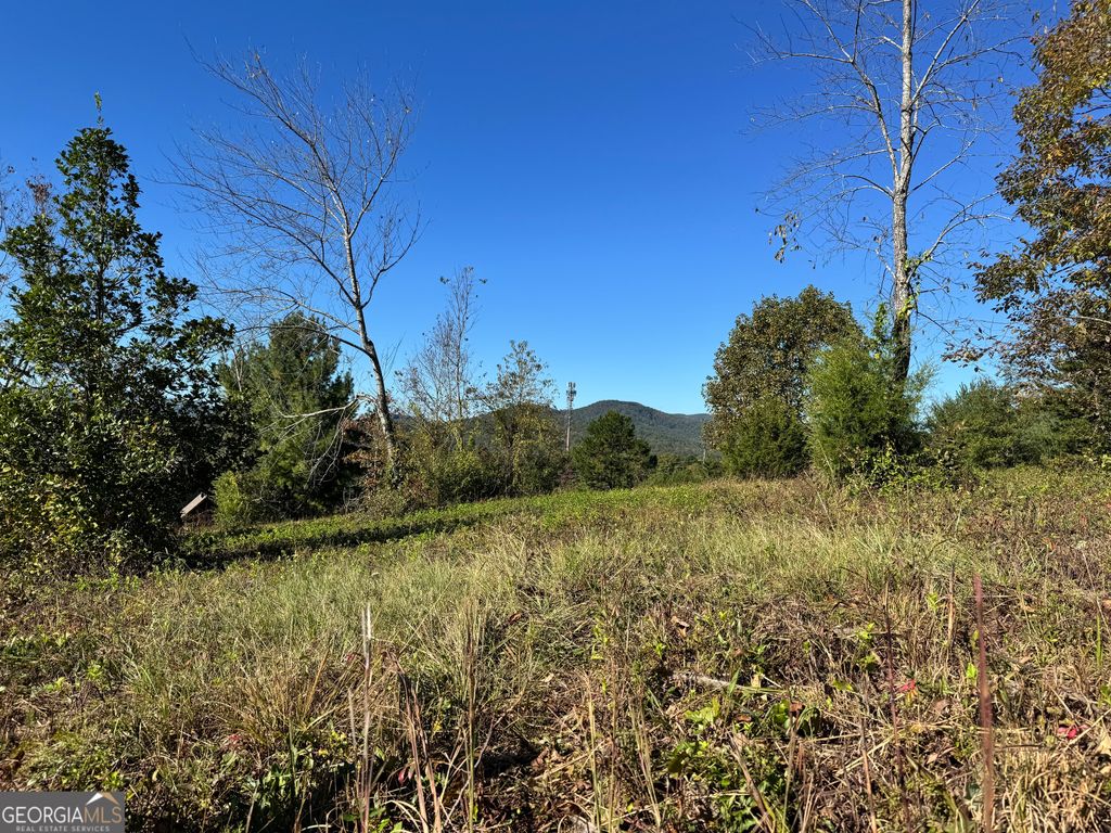 0 Log Cabin Lane LOT 7, Lakemont, GA 30552 — photo 5