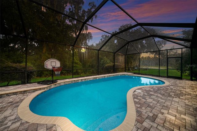 17463 NEW CROSS CIRCLE, Lithia, FL 33547