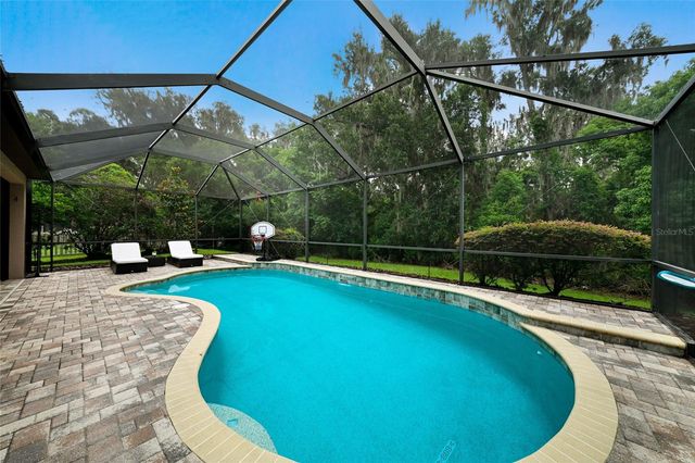 17463 NEW CROSS CIRCLE, Lithia, FL 33547
