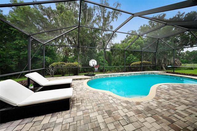 17463 NEW CROSS CIRCLE, Lithia, FL 33547