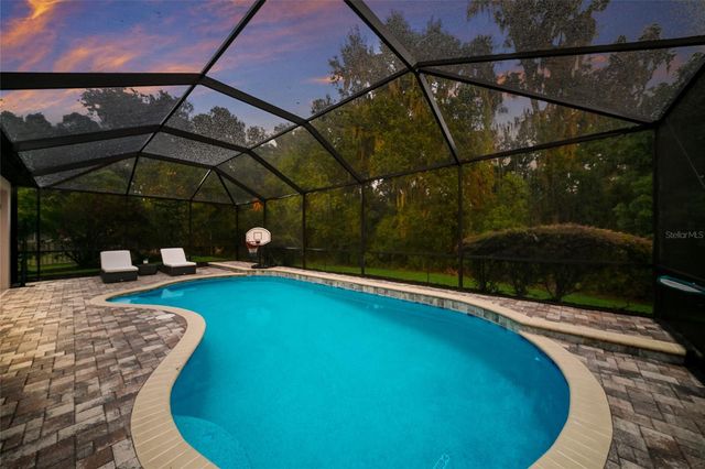 17463 NEW CROSS CIRCLE, Lithia, FL 33547