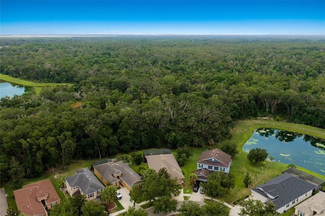 17463 NEW CROSS CIRCLE, Lithia, FL 33547