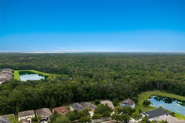 17463 NEW CROSS CIRCLE, Lithia, FL 33547