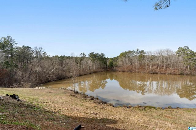 556 MARTIN LANE, Helena, AL 35080