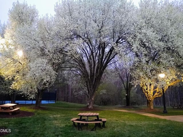 3 Steepleton Court, Hillsborough, NC 27278