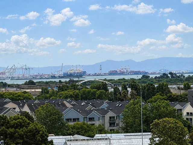 902 Polk Street, Albany, CA 94706