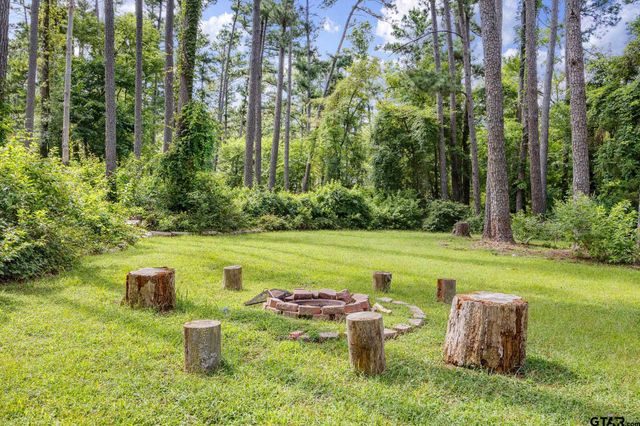 196 Pine Branch Glen, Holly Lake Ranch, TX 75765