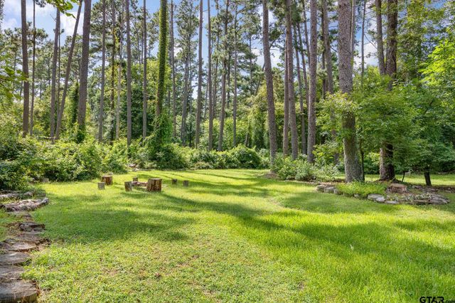 196 Pine Branch Glen, Holly Lake Ranch, TX 75765