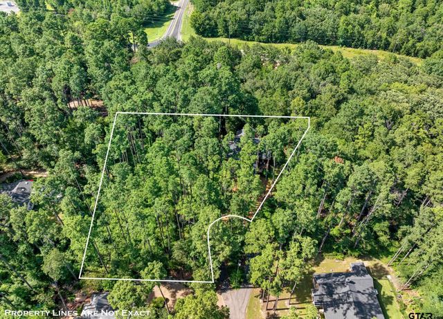 196 Pine Branch Glen, Holly Lake Ranch, TX 75765