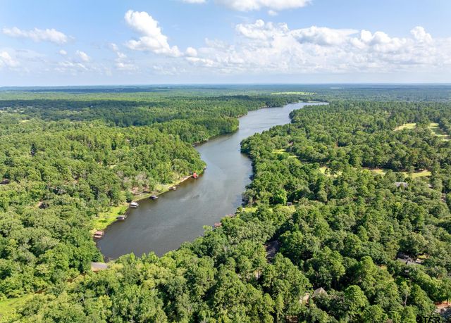 196 Pine Branch Glen, Holly Lake Ranch, TX 75765