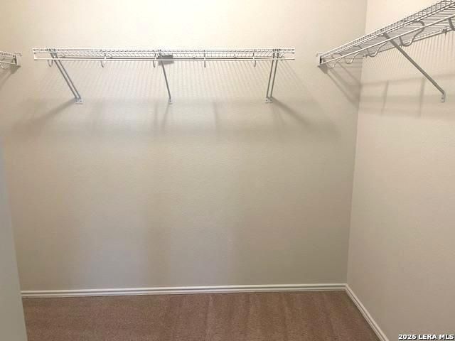 207 Golden Fawn, Selma, TX 78154