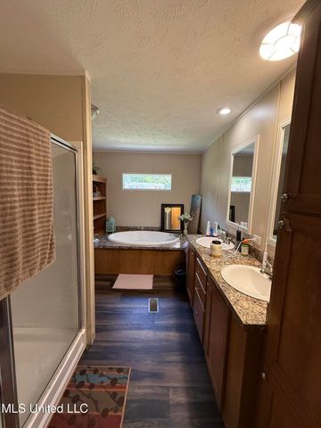 9250 Pleasant Hill Road, Carthage, MS 39051