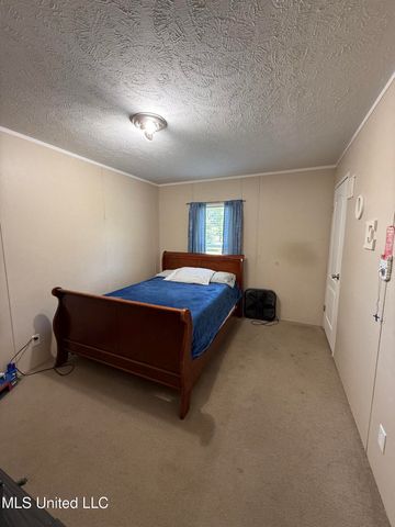 9250 Pleasant Hill Road, Carthage, MS 39051