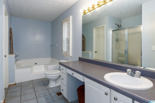 125 SMITH DRIVE, Odenville, AL 35120