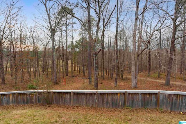 125 SMITH DRIVE, Odenville, AL 35120