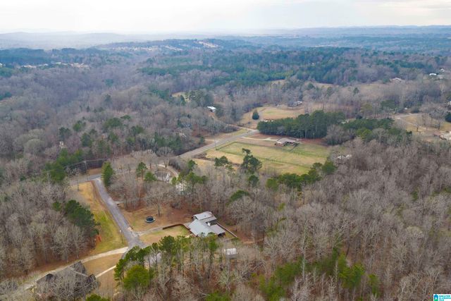 125 SMITH DRIVE, Odenville, AL 35120