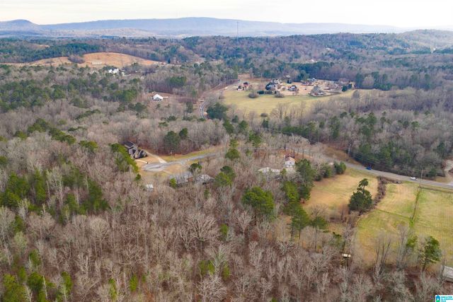 125 SMITH DRIVE, Odenville, AL 35120