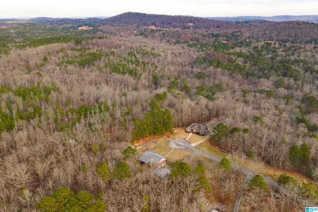 125 SMITH DRIVE, Odenville, AL 35120