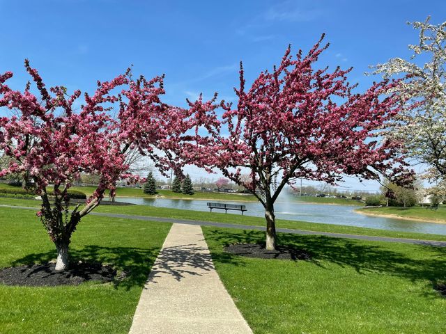 5870 Coldcreek Drive, Hilliard, OH 43026