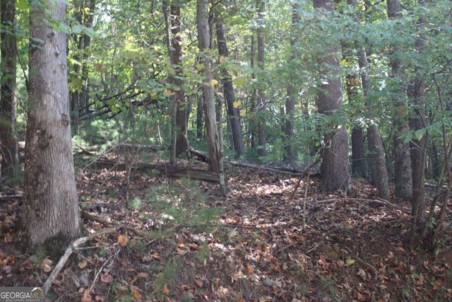 LOT 16R Leatherwood Mountain Road, Cherry Log, GA 30522