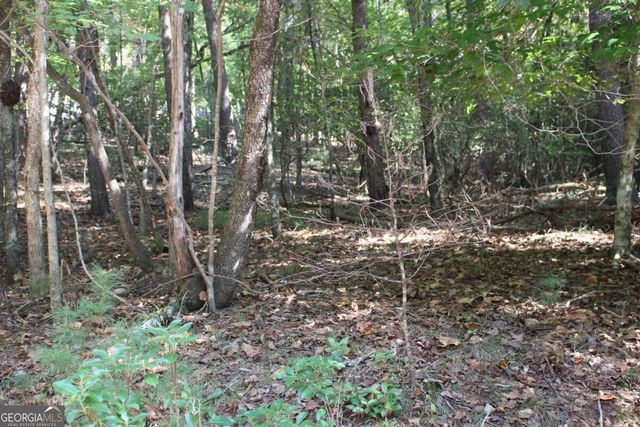 LOT 16R Leatherwood Mountain Road, Cherry Log, GA 30522