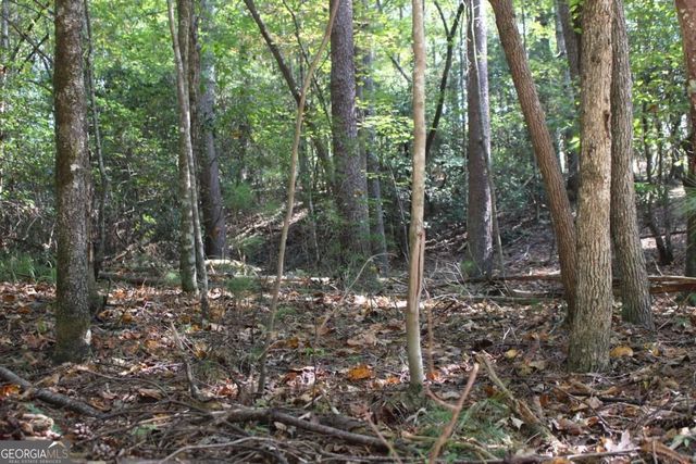 LOT 16R Leatherwood Mountain Road, Cherry Log, GA 30522