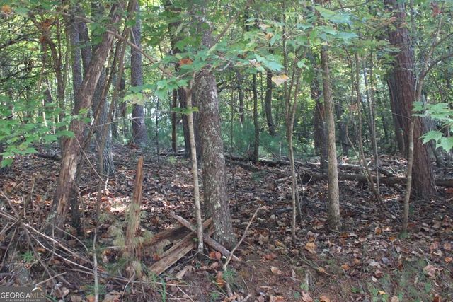 LOT 16R Leatherwood Mountain Road, Cherry Log, GA 30522
