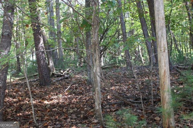 LOT 16R Leatherwood Mountain Road, Cherry Log, GA 30522