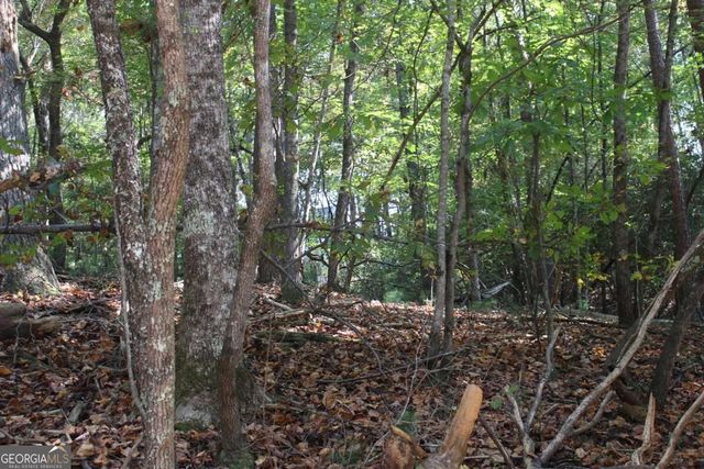 LOT 16R Leatherwood Mountain Road, Cherry Log, GA 30522