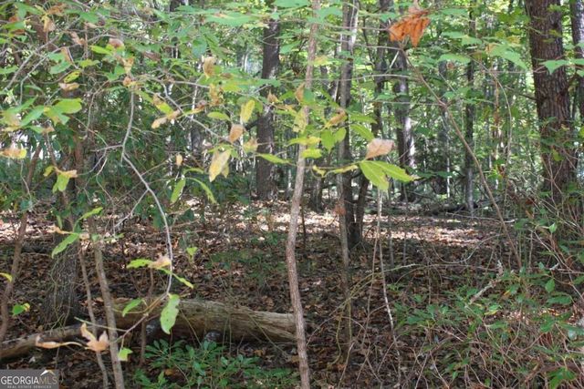 LOT 16R Leatherwood Mountain Road, Cherry Log, GA 30522