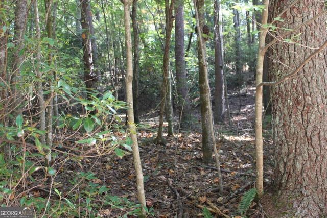 LOT 16R Leatherwood Mountain Road, Cherry Log, GA 30522