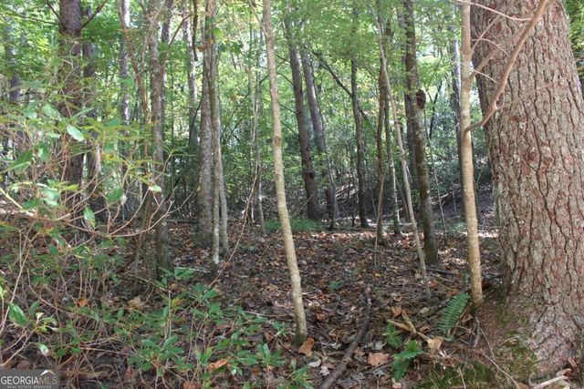 LOT 16R Leatherwood Mountain Road, Cherry Log, GA 30522