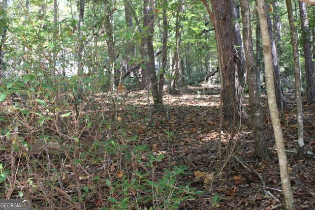 LOT 16R Leatherwood Mountain Road, Cherry Log, GA 30522