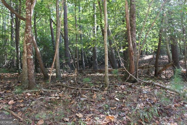 LOT 16R Leatherwood Mountain Road, Cherry Log, GA 30522