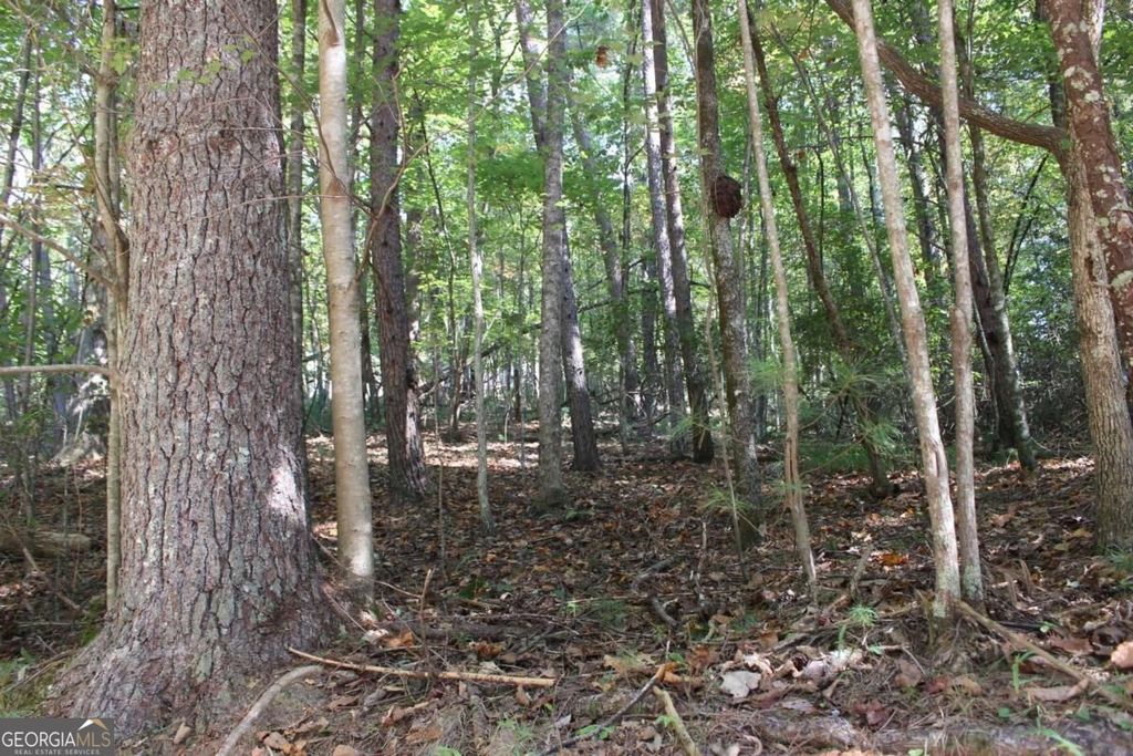 LOT 16R Leatherwood Mountain Road, Cherry Log, GA 30522