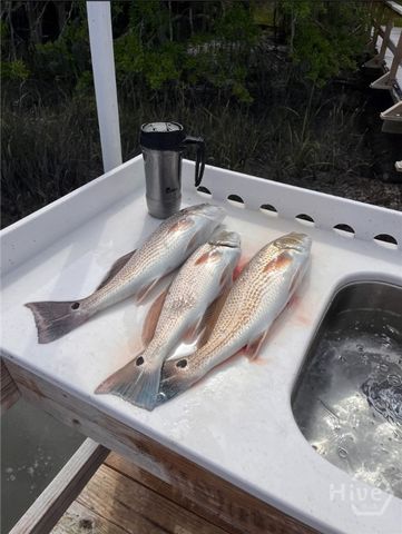 22532 Hwy 144, Richmond Hill, GA 31324