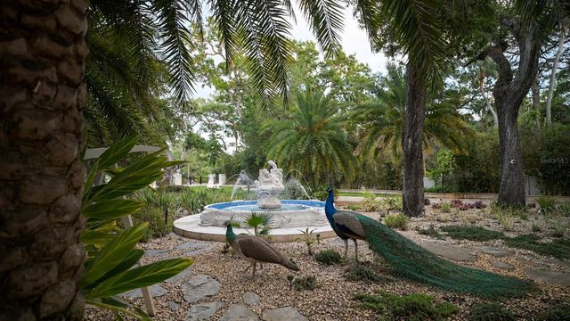 2000 PARK STREET N, St Petersburg, FL 33710