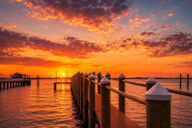 2000 PARK STREET N, St Petersburg, FL 33710