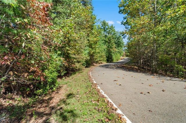288 Blazingstar Trail, Big Canoe, GA 30143