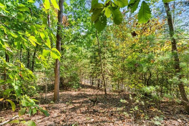 288 Blazingstar Trail, Big Canoe, GA 30143